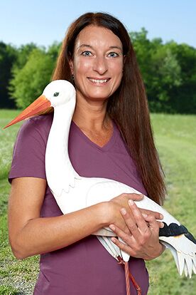 Stephanie Lambeck